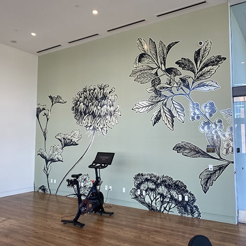 Wall Graphics